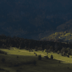 Miniature article