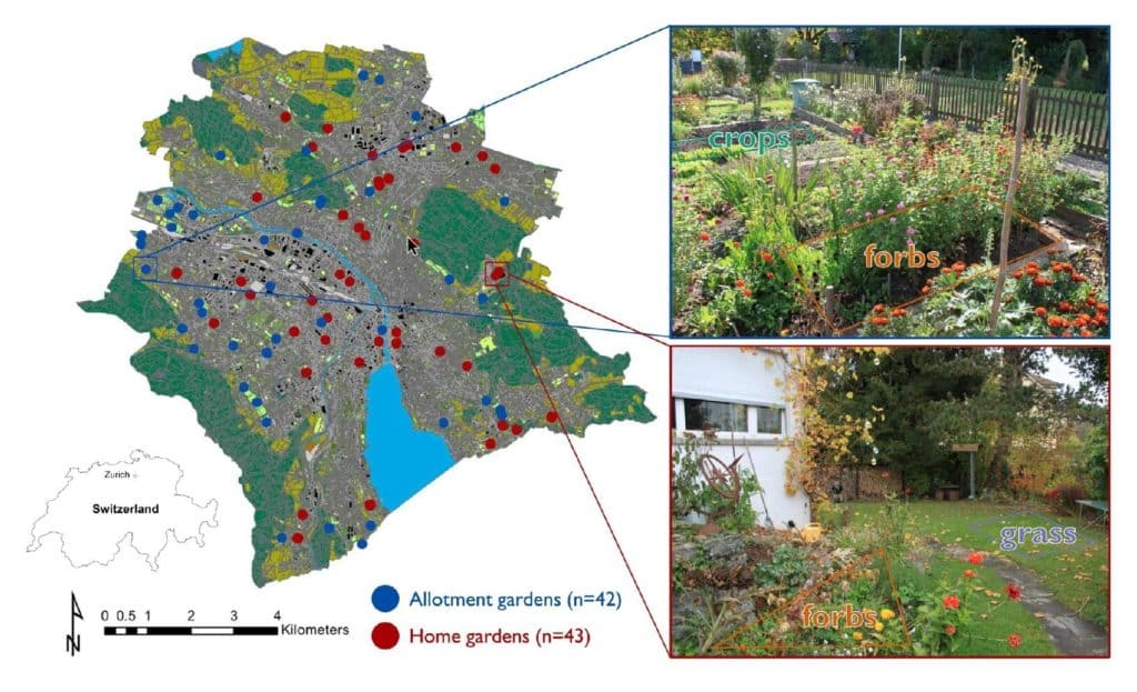 Figures issues de l’article  « Litter decomposition driven by soil fauna, plant diversity and soil management in urban gardens », Simon Tresch et al., 2019 : 