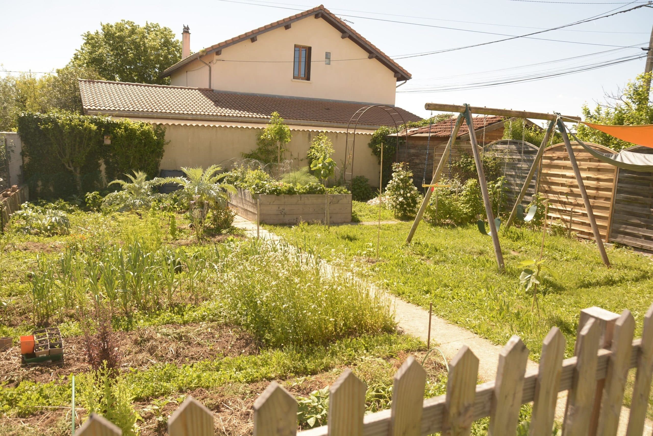 Transformer un petit jardin urbain de 200m² en havre de biodiversité : l’histoire d’une reconquête écologique