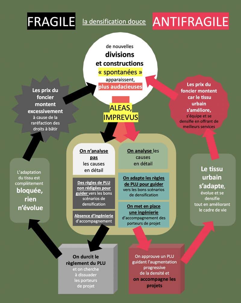 Urbanisme organique et antifragilité : saviez-vous que la densification douce peut être fragile ou antifragile ?