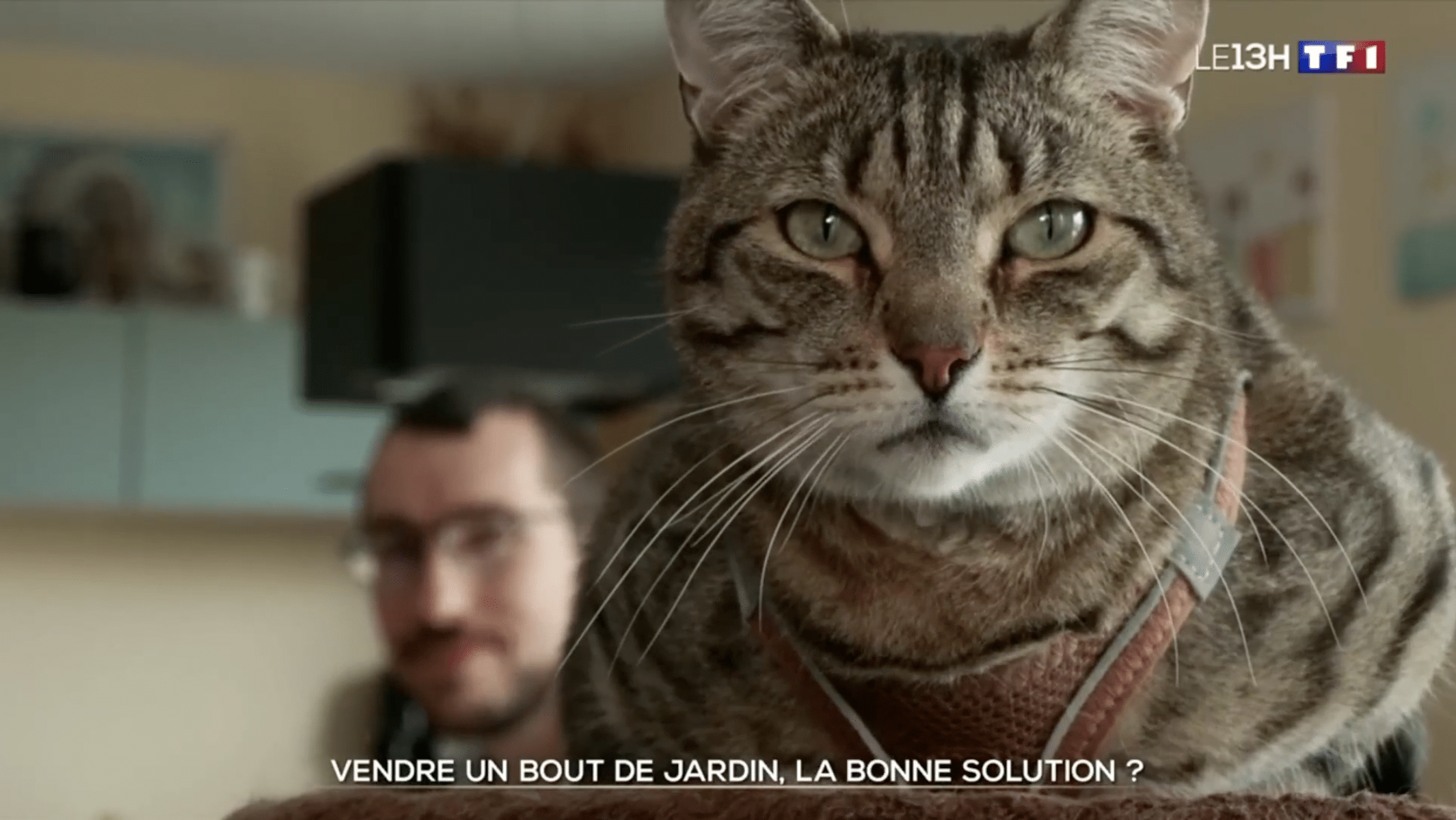 On n’est jamais mieux servi… que par un pro