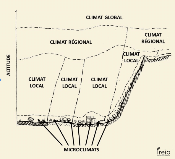 Climat ou microclimat : comment ne plus les confondre ?