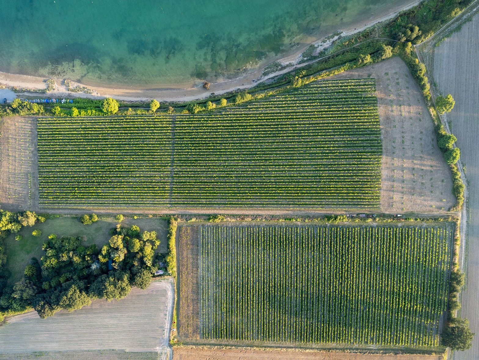 Ré-emprunter la route de la Soie pour le futur de nos paysages