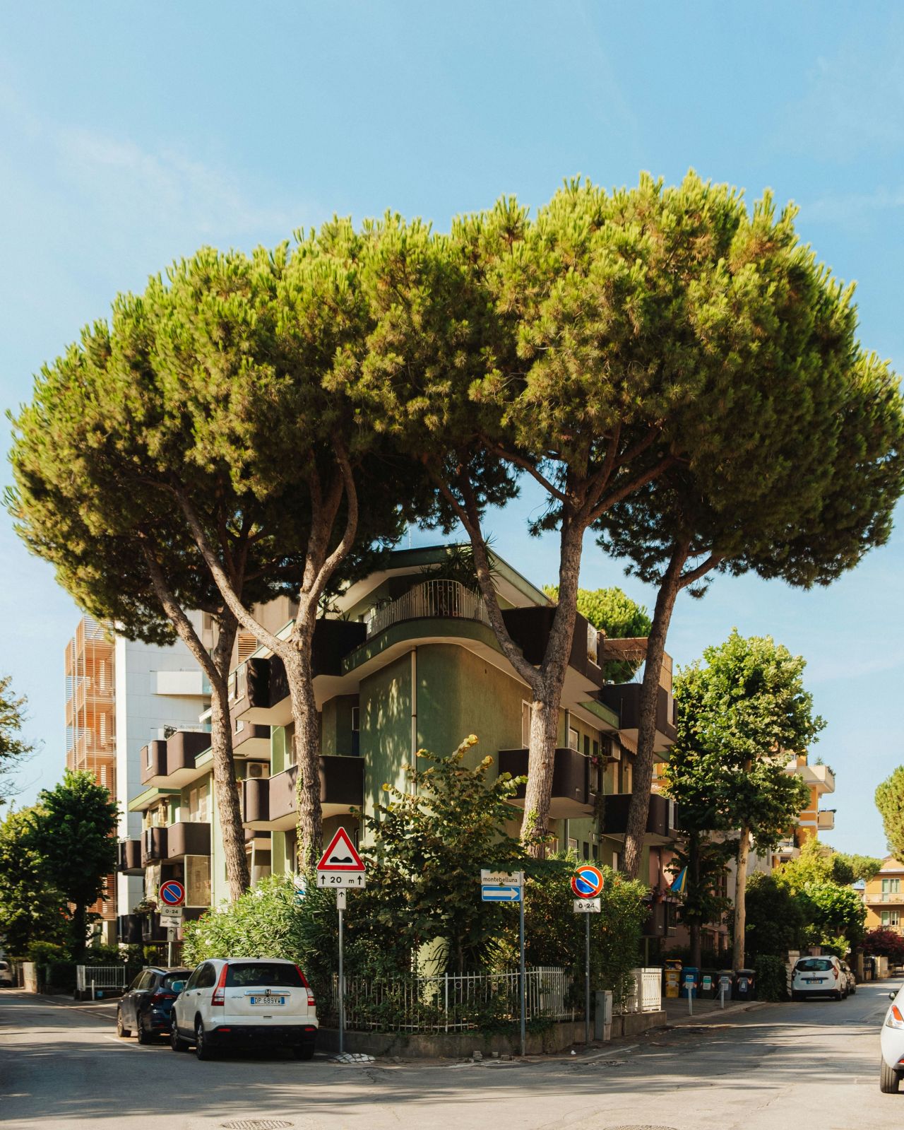 90% de la canopée vient des jardins privés : la preuve par Camrose