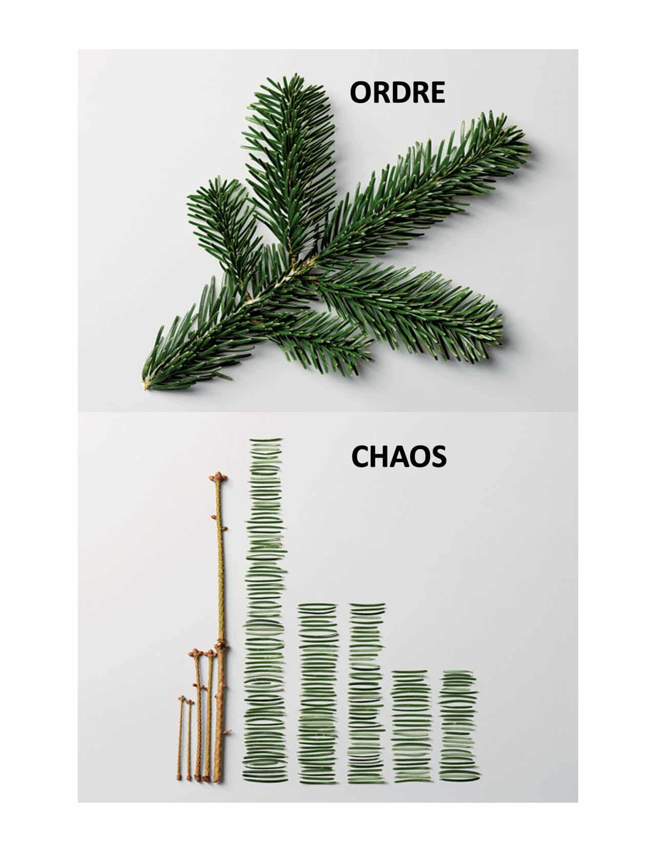 L’idée d’un contrôle total de la fabrique de la ville est dangereuse