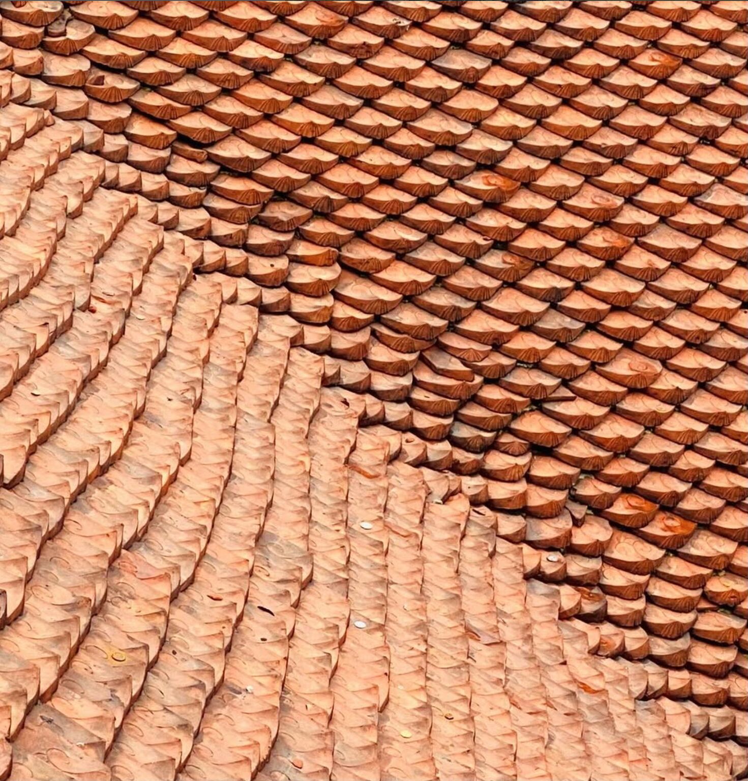 Doit-on vraiment choisir entre collectivisme et libéralisme&nbsp;?