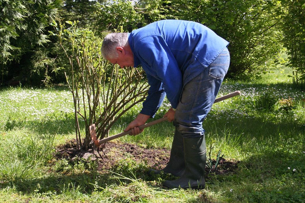 Pourquoi nous devons être plus nombreux à jardiner&nbsp;?
