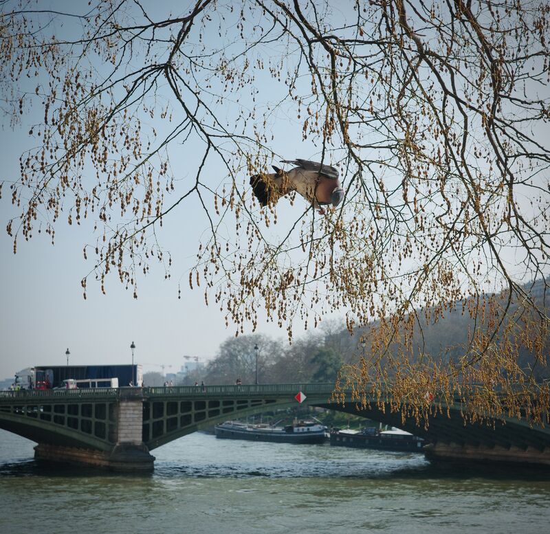 Quand la ville invente ses écosystèmes