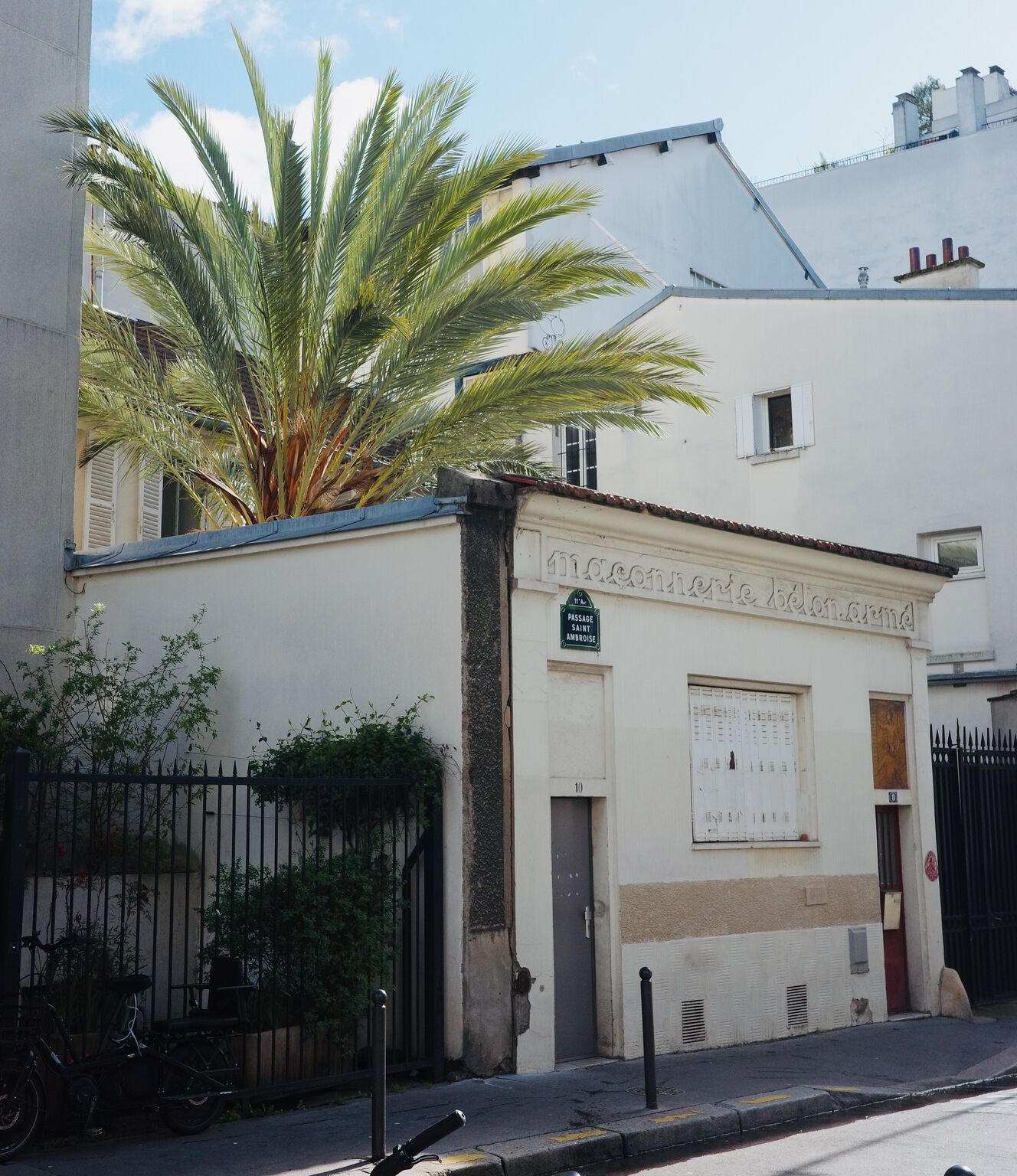 15 m² de patio parisien, un arbre du désert&nbsp;: ce que la ville rend possible