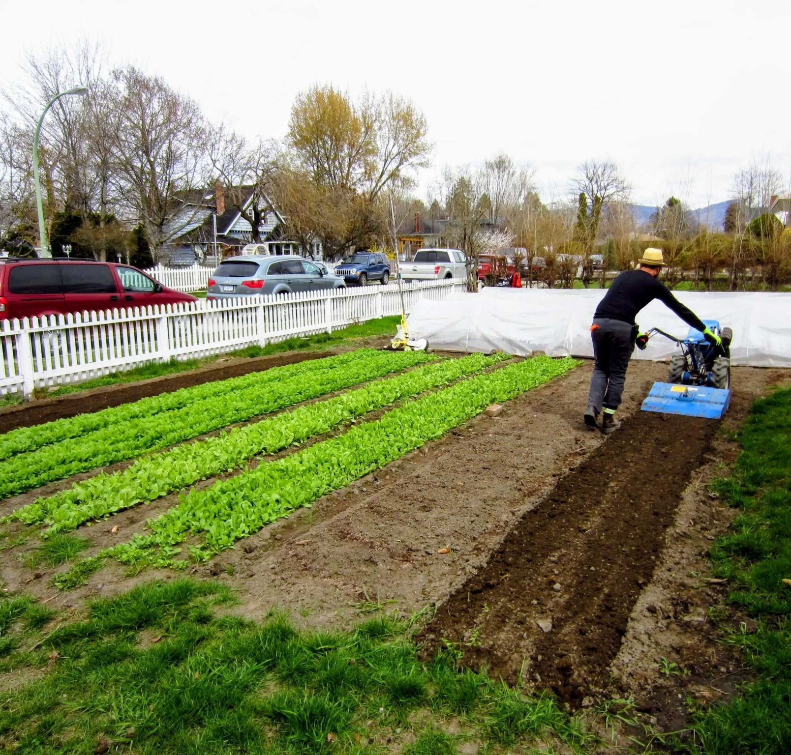 Ce que l&rsquo;échec de l&rsquo;agriculture urbaine marchande nous apprend sur le vrai potentiel des jardins
