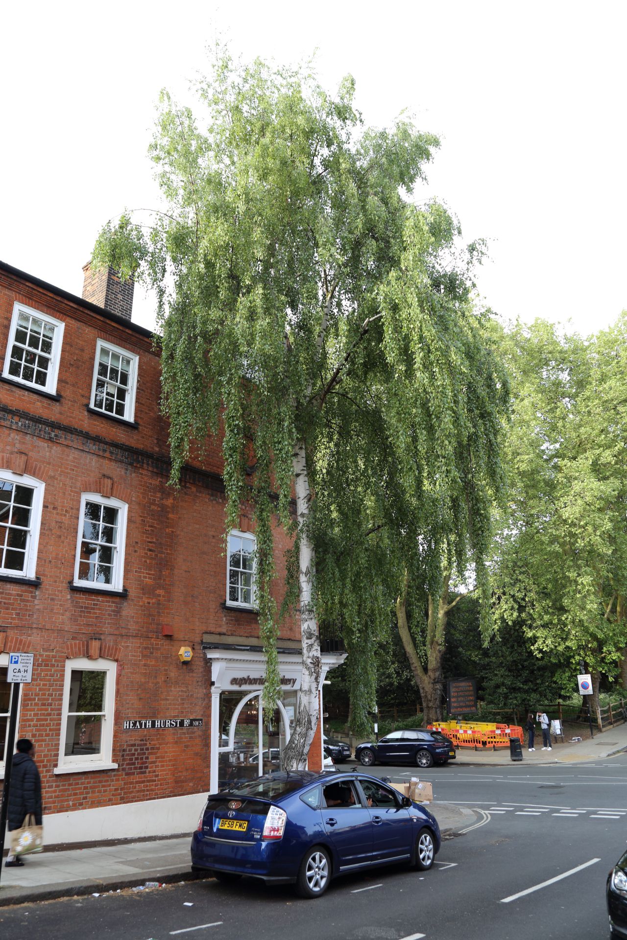 « Indigène » ne signifie plus « adapté »