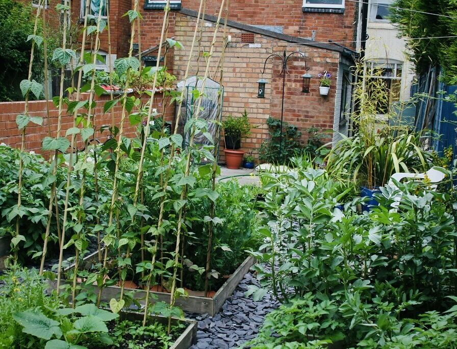 Plus le jardin est grand, moins il produit&nbsp;: le paradoxe de la surface