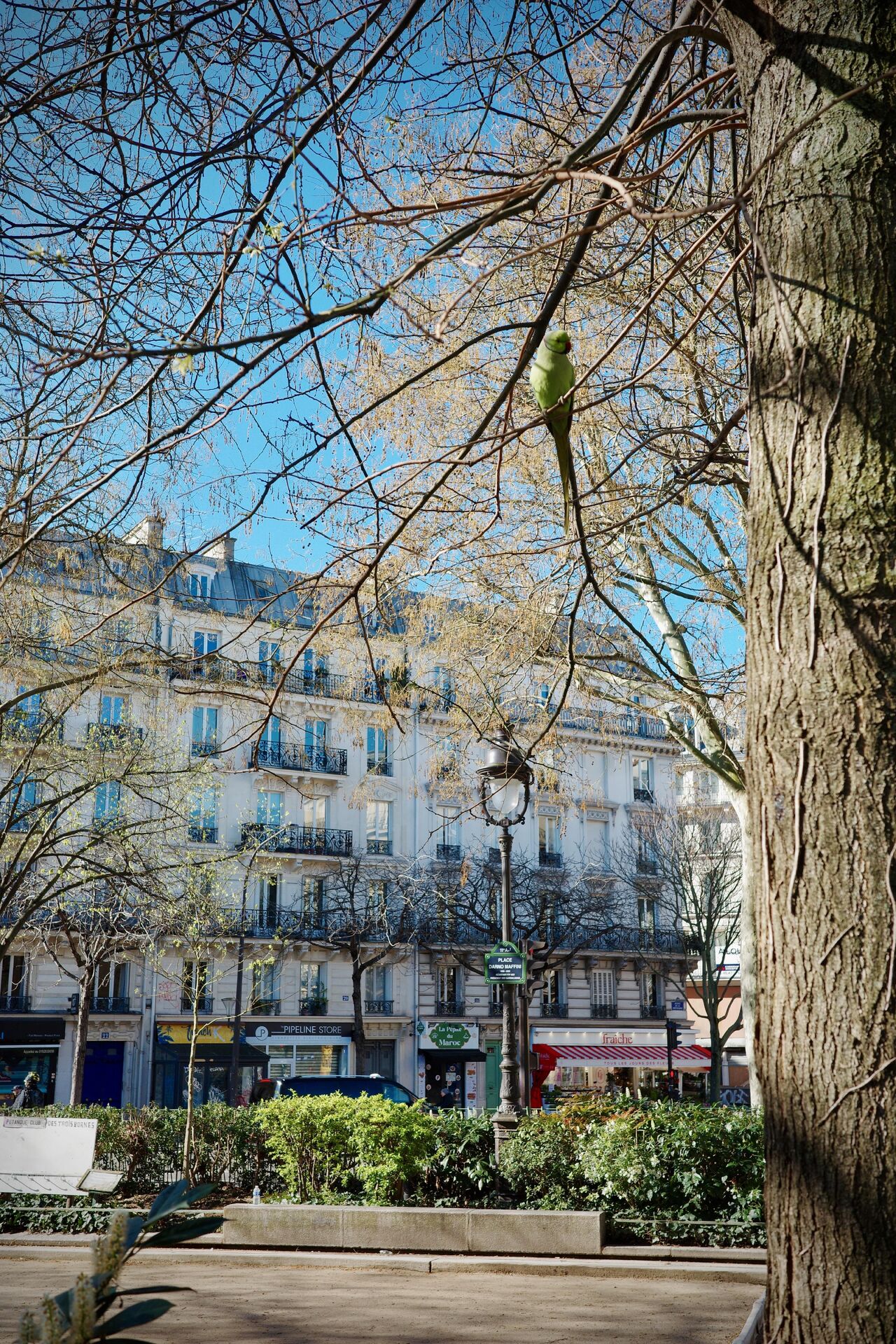 D&rsquo;ici 70 ans, plus de la moitié des écosystèmes terrestres n&rsquo;auront plus d&rsquo;équivalent historique
