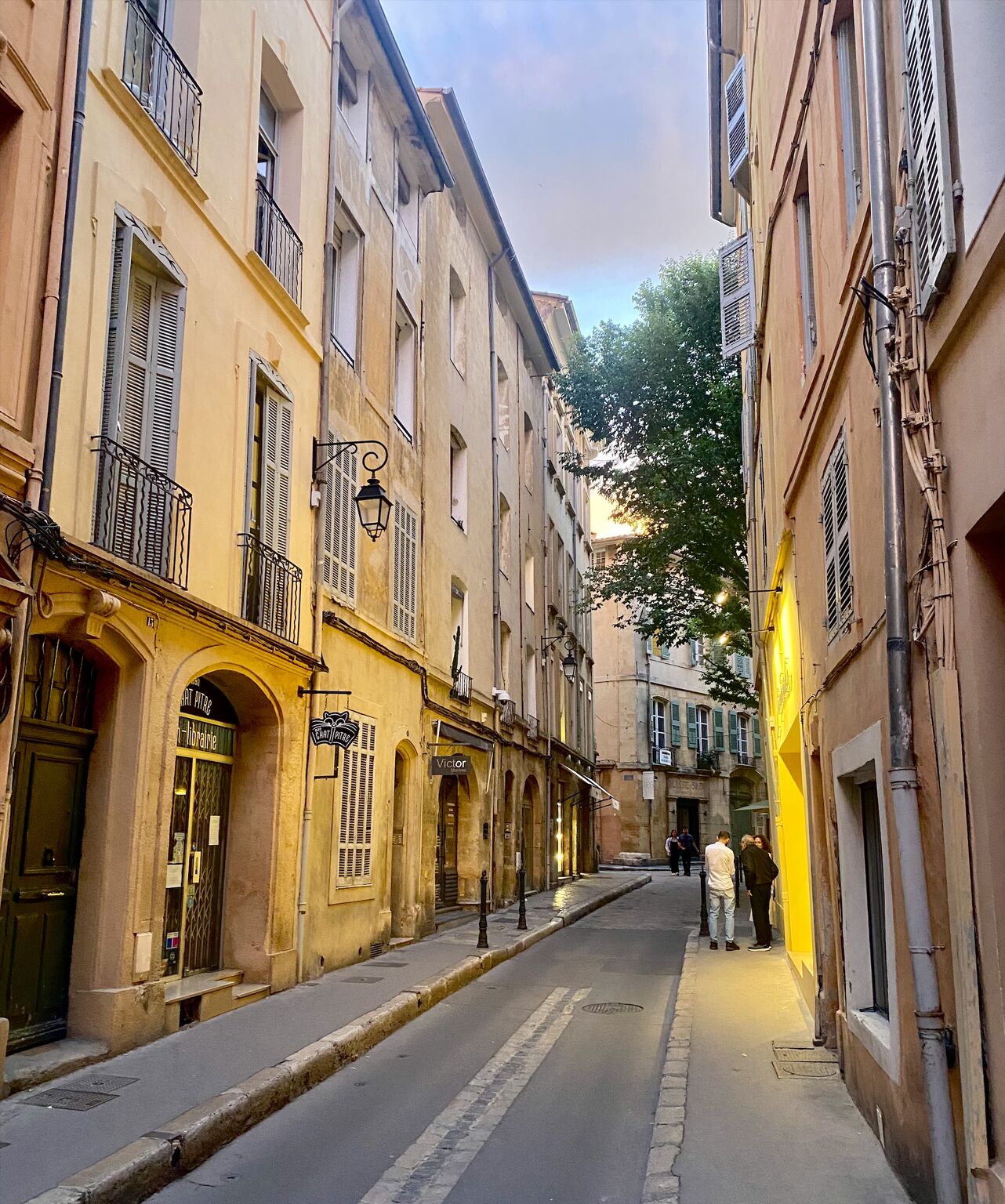Rafraîchir la ville&nbsp;: quand l’arbre cache la morphologie urbaine