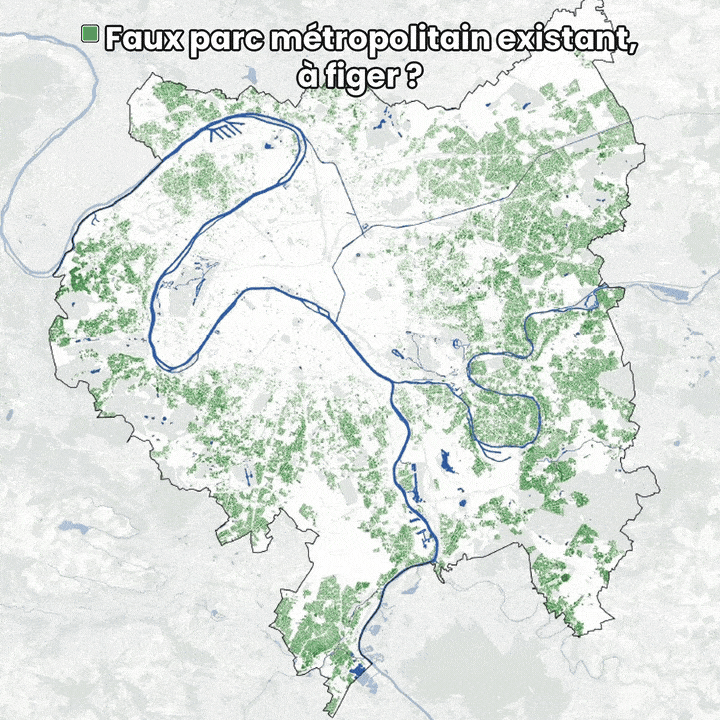 L&rsquo;arbre (et le paysagiste) qui cache la pelouse