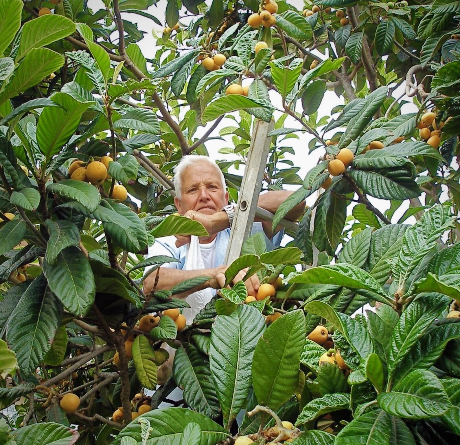 Le moteur sous-estimé de la biodiversité urbaine&nbsp;: la diversité des habitants