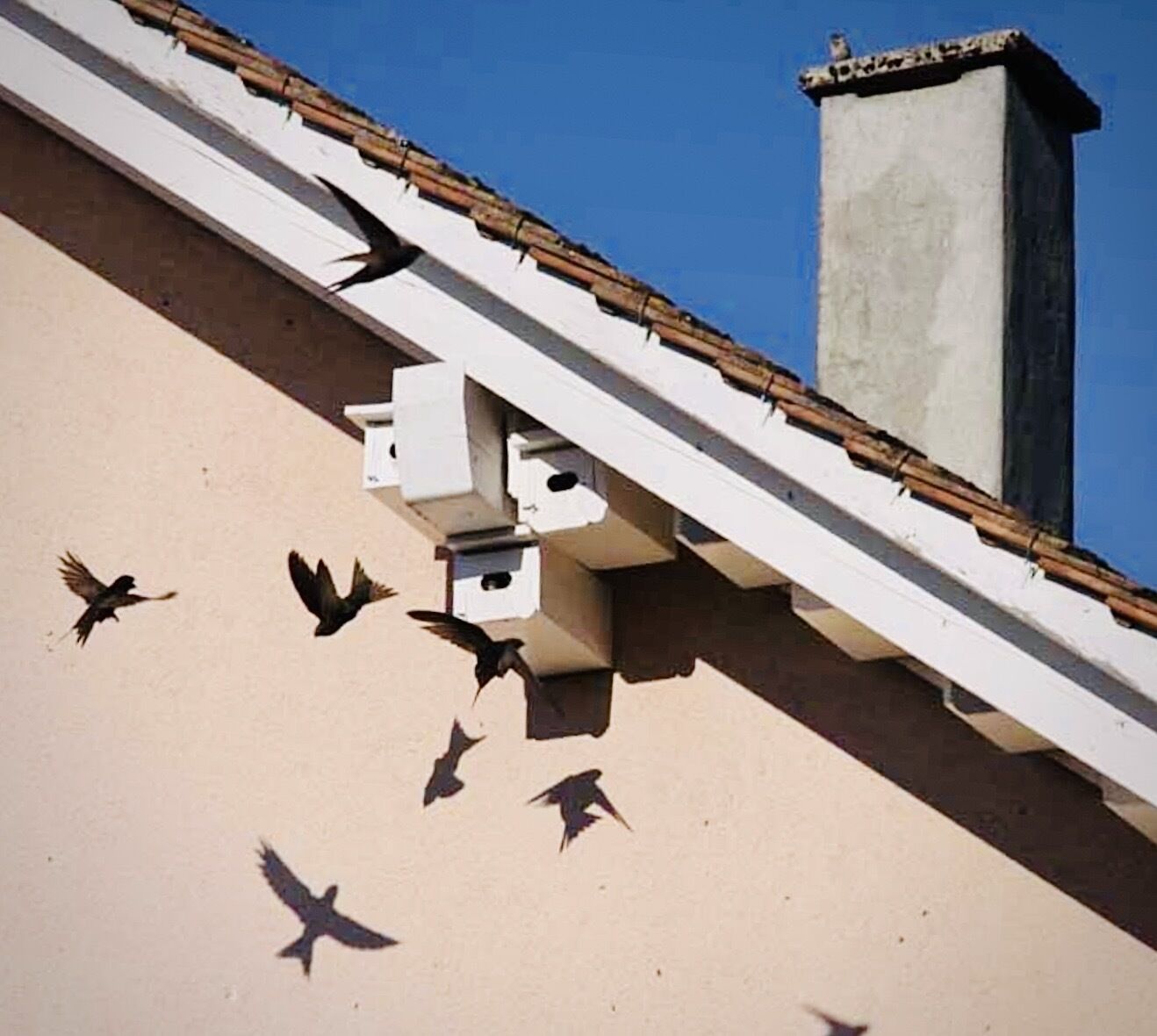 Rénover pour accueillir&nbsp;: trois étapes pour transformer une façade en refuge