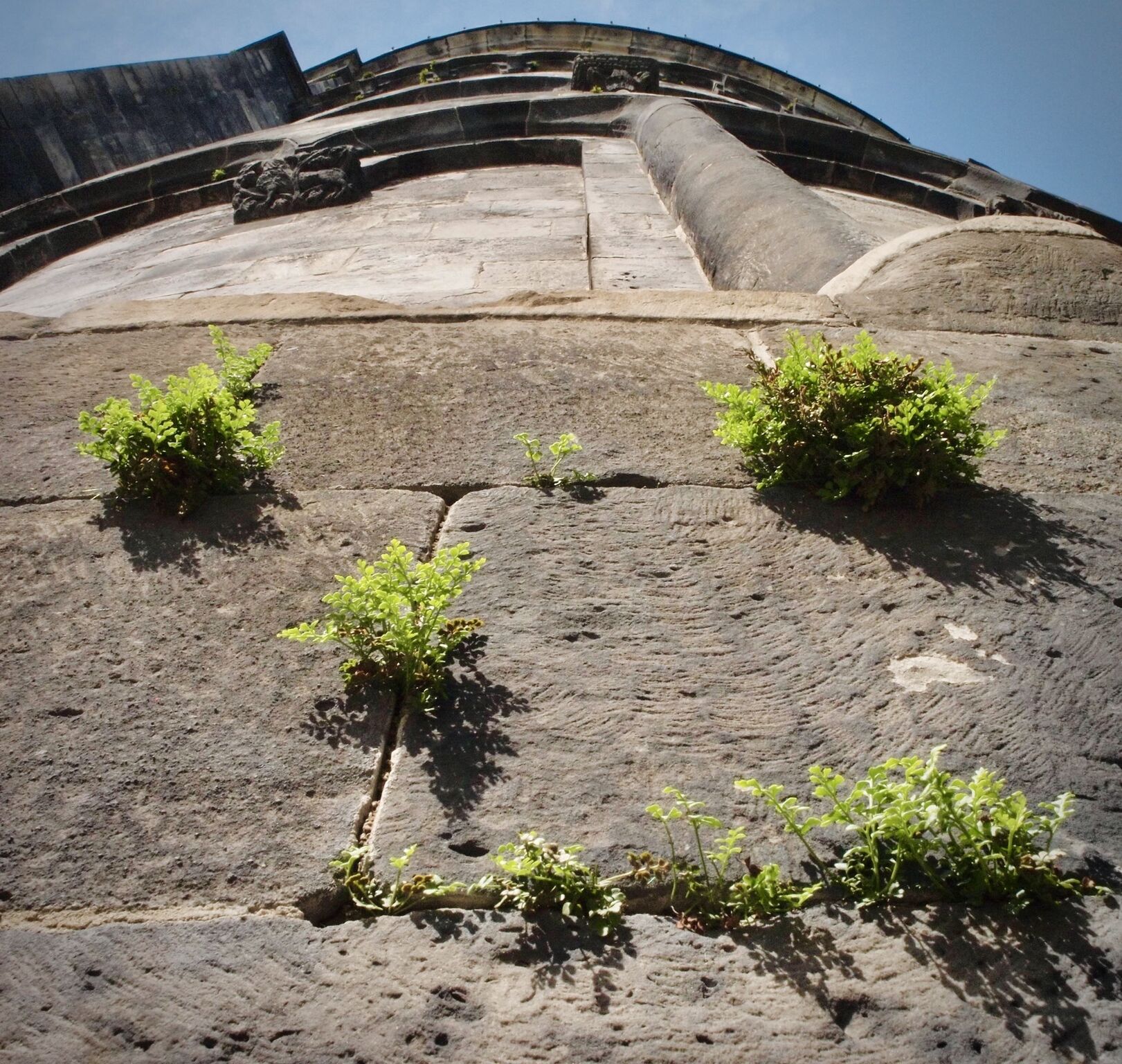 L&rsquo;écologie cachée de nos murs&nbsp;: trois paramètres qui changent tout