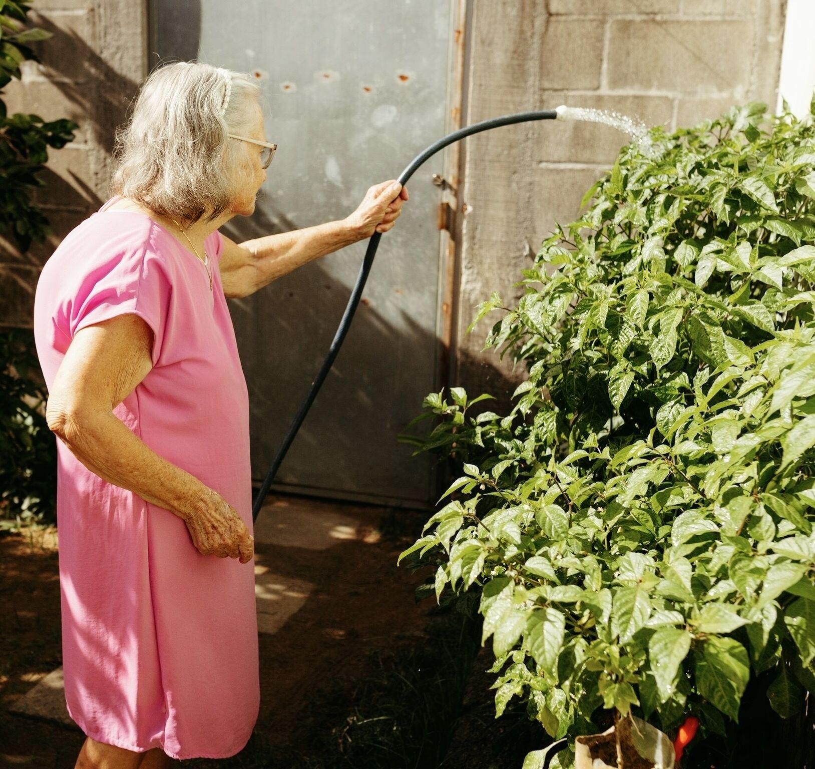 Densification douce&nbsp;: l&rsquo;antidote au désert vert pavillonnaire