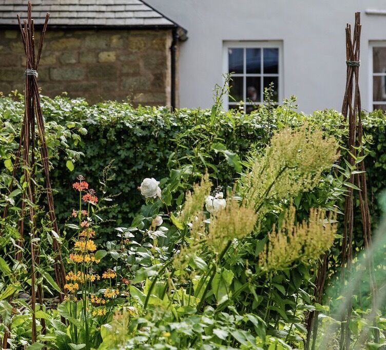 La diversité cultivée nourrit la diversité sauvage