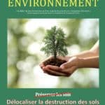Miniature article