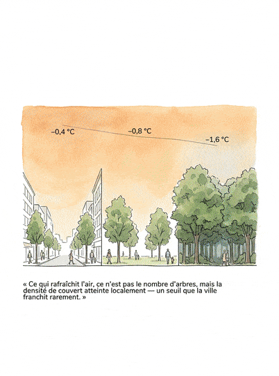 Plus d&rsquo;arbres, moins de chaleur&nbsp;? La végétalisation urbaine à l&rsquo;épreuve de la science