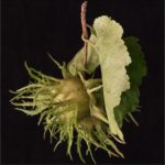 Miniature article