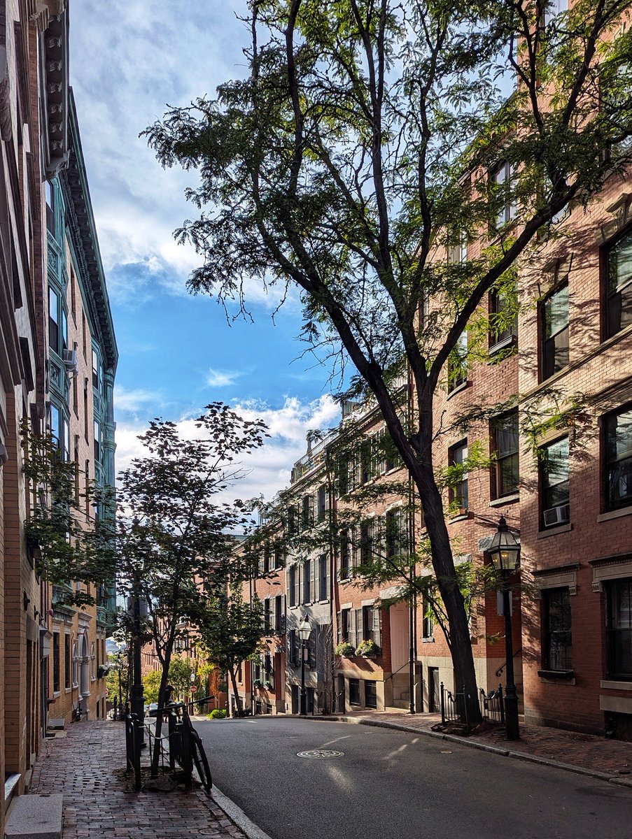 Boston&nbsp;: l&rsquo;identité singulière du classique vernaculaire
